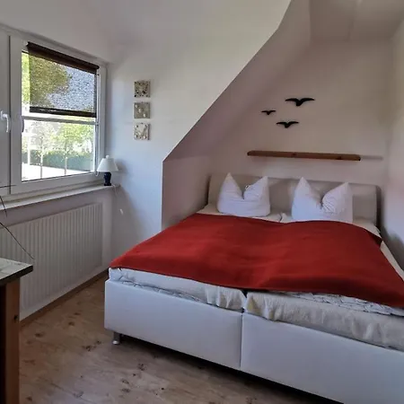 Unsere Perle Mit Sauna Und Balkon In - Hund Willkommen Ferienhaus Ostseeheilbad Zingst