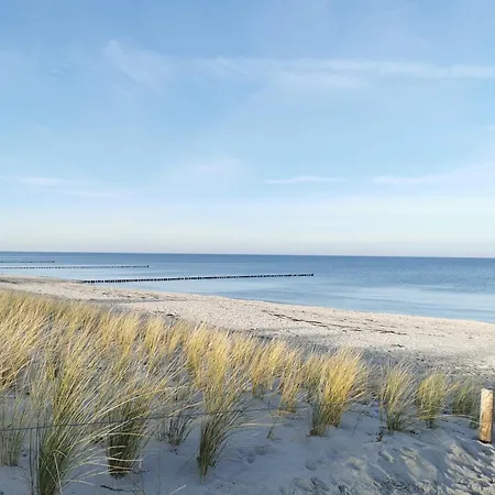 Unsere Perle Mit Sauna In - Hund Willkommen Zingst